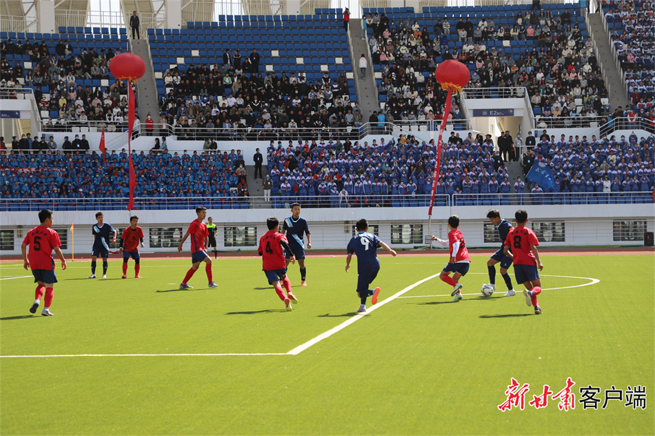 尼科需要在